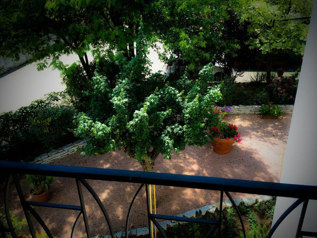 Bed & Breakfast Don Carlos San Martino di Lupari Ngoại thất bức ảnh