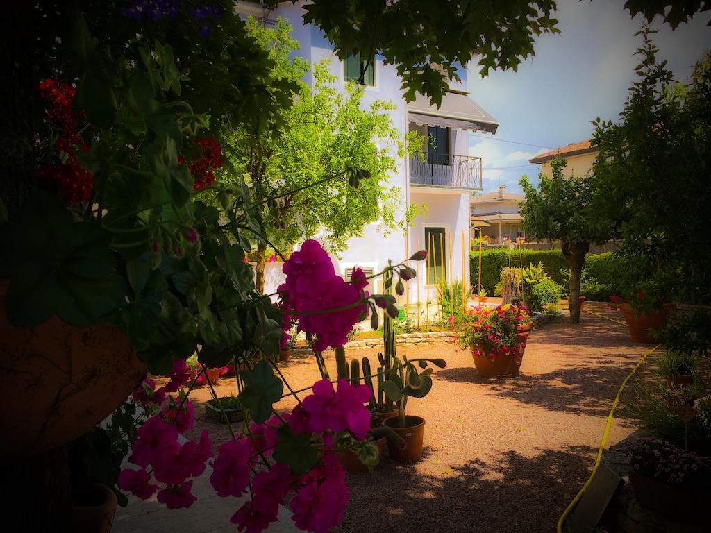 Bed & Breakfast Don Carlos San Martino di Lupari Ngoại thất bức ảnh
