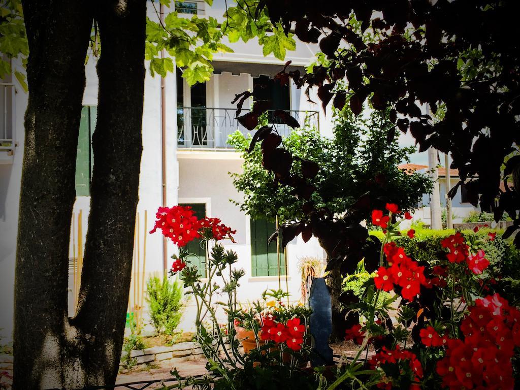 Bed & Breakfast Don Carlos San Martino di Lupari Ngoại thất bức ảnh